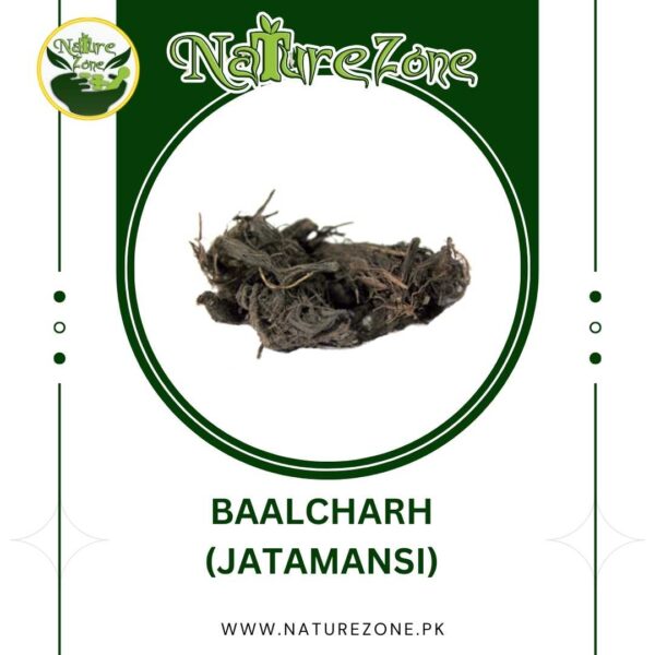 Buy Jatamansi(بالچھڑ)/Baalchar