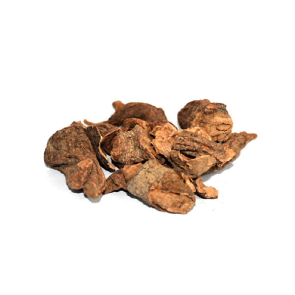 Buy Behman Surkh, Red Sage, بہمن سرخ in Pakistan