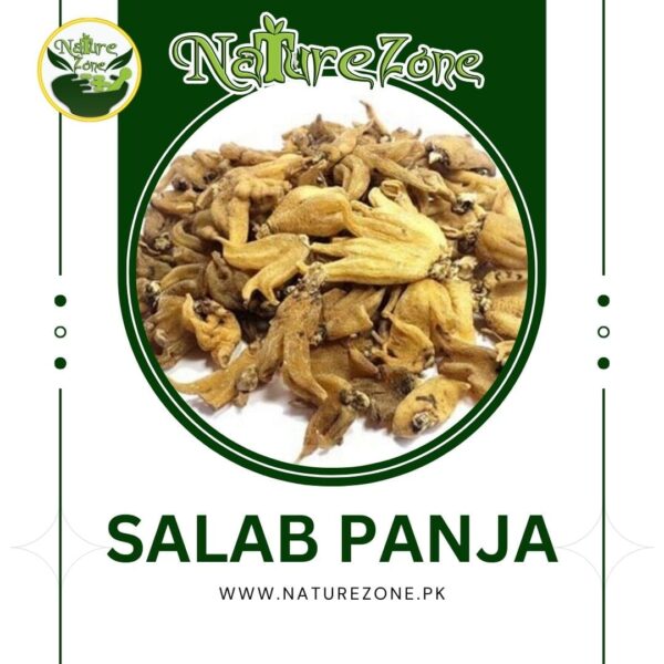 Salab Panja Price in Pakistan | ثعلب پنجہ (Use to Resolve Men/Female Weakness)