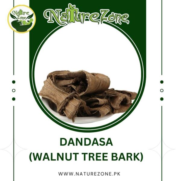 Walnut Tree Bark (Dandaasa) in Pakistan، دنداسہ