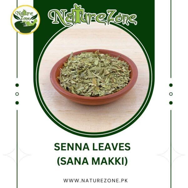 Senna Leaves in Pakistan | سناء مکّی