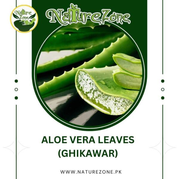 Aloe Vera Price in Pakistan،ایلو ویرہ، گھیکوار