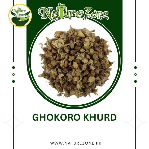 ghokoro khurd Price in Pakistan, گھوکھرو خورد