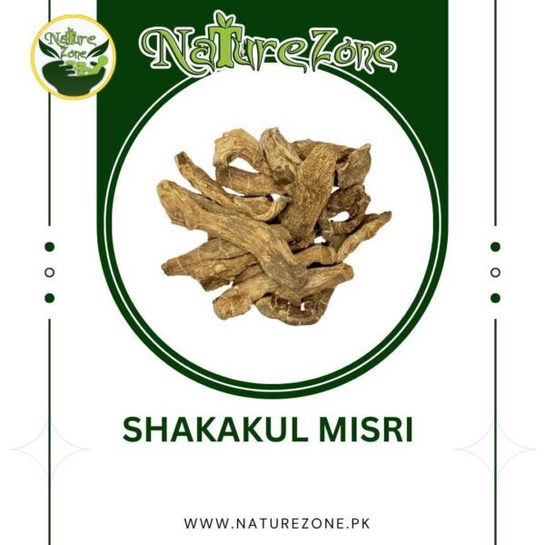 Shakakul Misri Price in Pakistan, شکاکل مصری