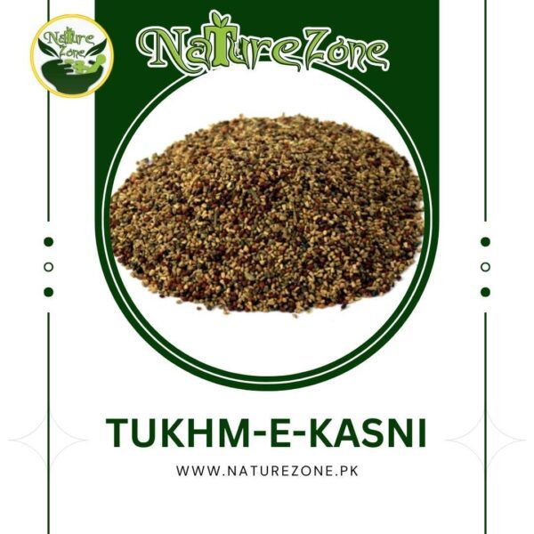 Chicory Seeds,Tukhm-e-Kasni Price in Pakistan, تخمِ کاسنی