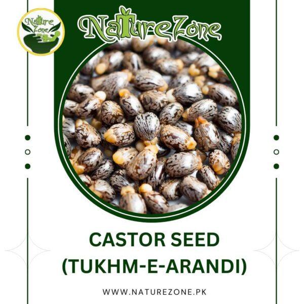 Castor Seeds (Tukhm e Arandi) Price in Pakistan | تخم ارنڈی،ارنڈی کے بیج