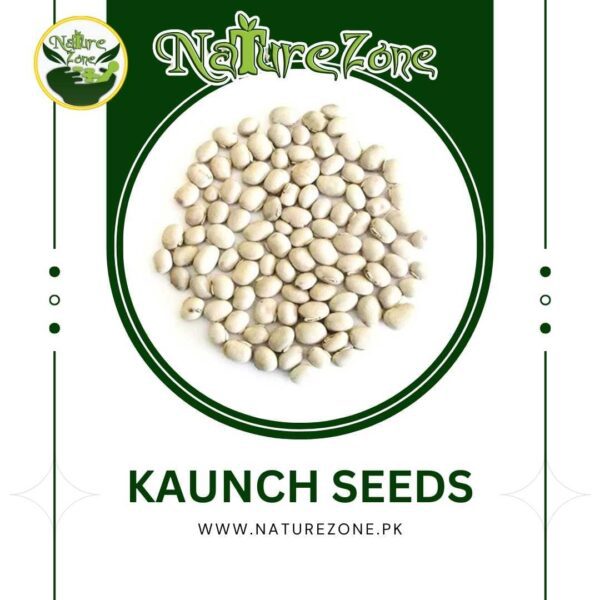 Kaunch Seeds price in Pakistan,تخمِ کونچ