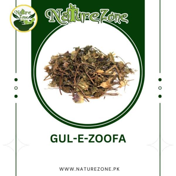 Gul e Zoofa Price in Pakistan،گلِ زوفا