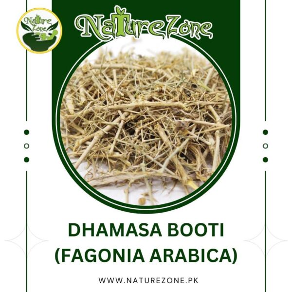 Dhamasa Booti Price in Pakistan (دھماسہ بوٹی) | Fagonia Arabica | Best Natural Cure of Cancer