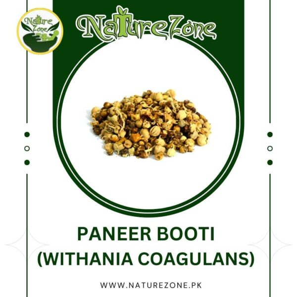 Withania coagulans(Paneer Booti) Price in Pakistan | پنیر بوٹی