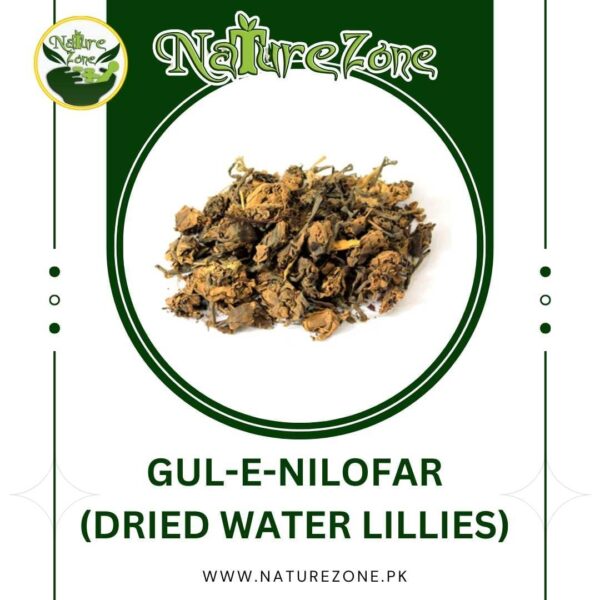 Gul e Nilofer Price in Pakistan |گل نیلوفر | Dried Water Lilly Flower