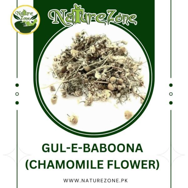 Gul e Baboona | Chamomile Flower Price in Pakistan | گل بابونہ