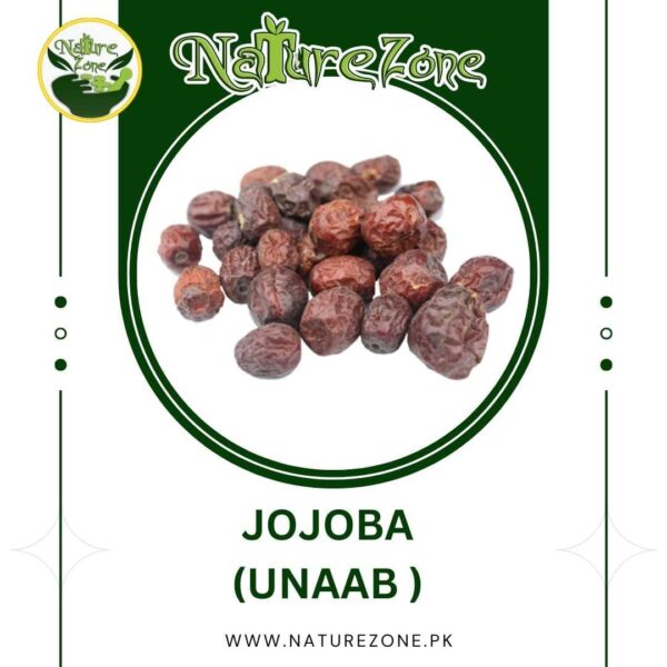 Jojoba/Unaab in Pakistan | عناب