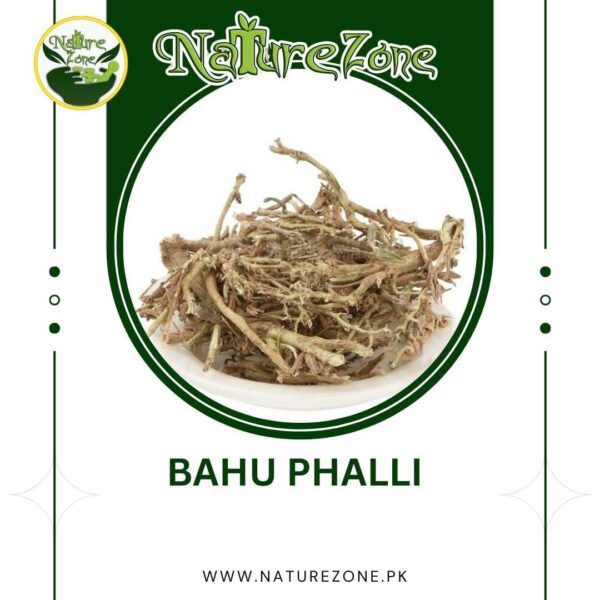 Bahu phali in Pakistan | بہو پھلی