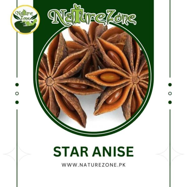 Star Anise, Badiyaan Khataai Price in Pakistan | بادیان خطائی
