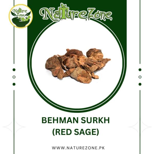 Buy Behman Surkh, Red Sage, بہمن سرخ in Pakistan