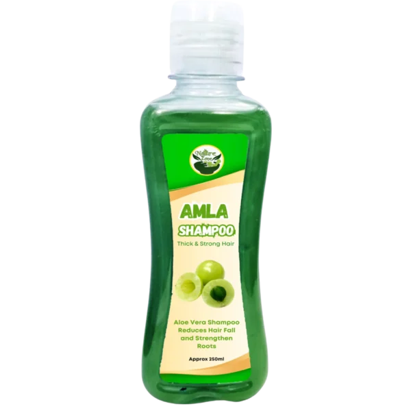 Buy Amla Shampoo Economy Pack