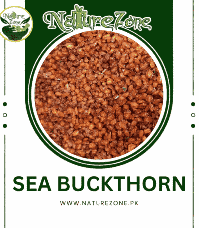Sea Buckthorn in Pakistan