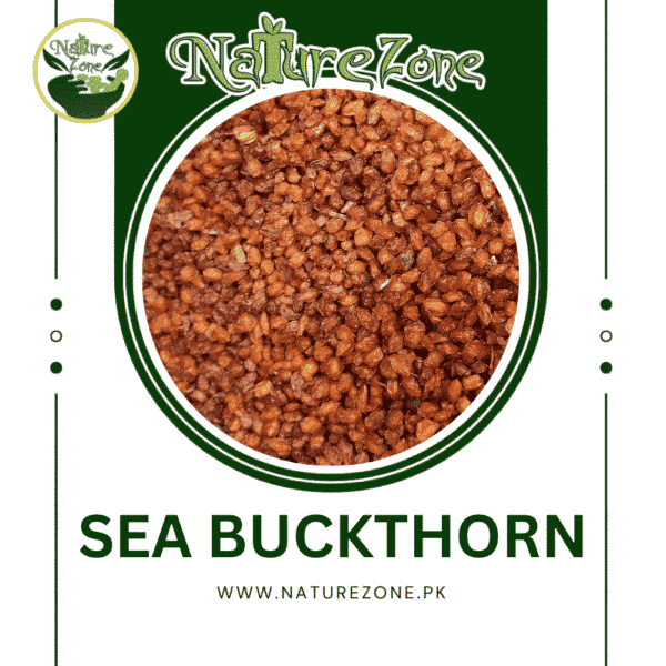 Sea Buckthorn in Pakistan