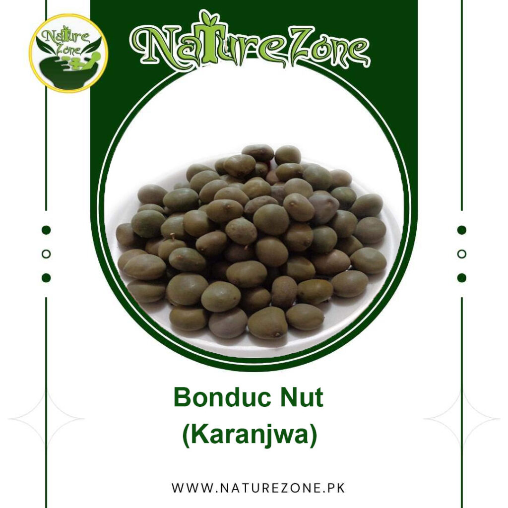 Bonduc Nuts in Pakistan