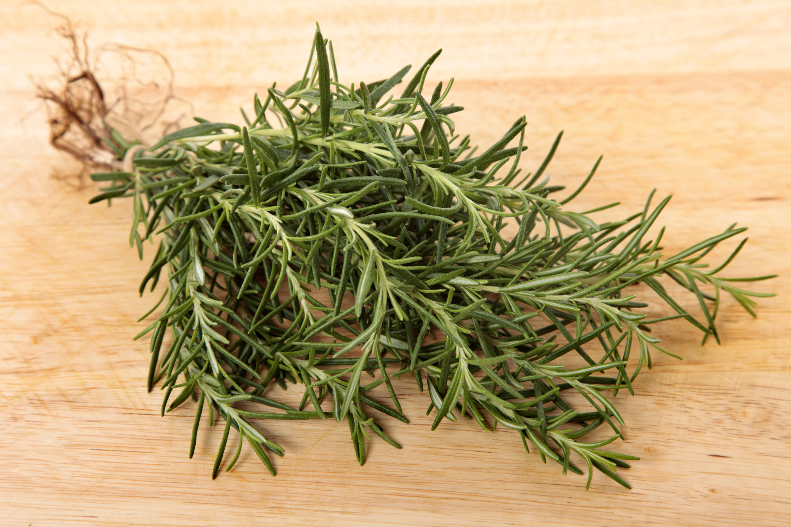 Rosemary Leaves in Pakistan 1