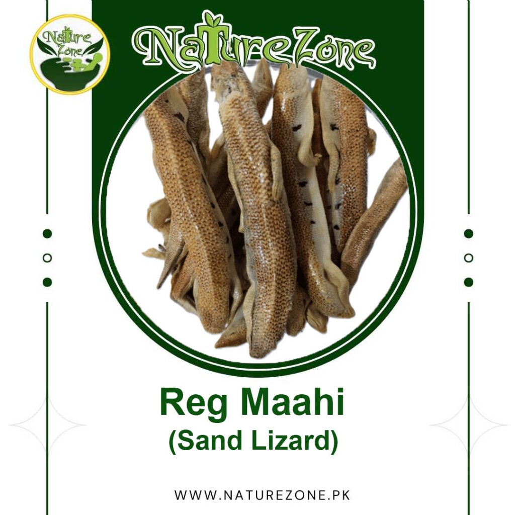 Reg Maahi, Sand Worm