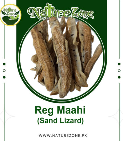 Reg Maahi, Sand Worm