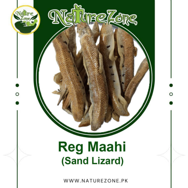 Reg Maahi, Sand Worm