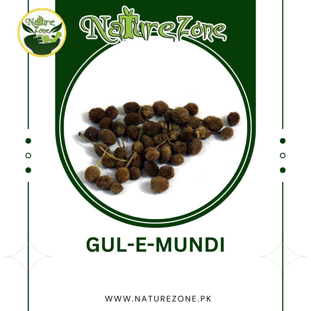 20.jpg Gul Mundi in Pakistan, گلِ مُندی - Image 1