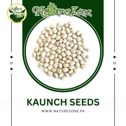 Kaunch Seeds price in Pakistan,تخمِ کونچ