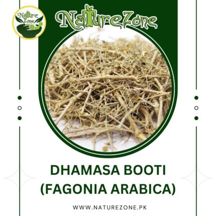Dhamasa Booti Price in Pakistan (دھماسہ بوٹی) | Fagonia Arabica | Best Natural Cure of Cancer