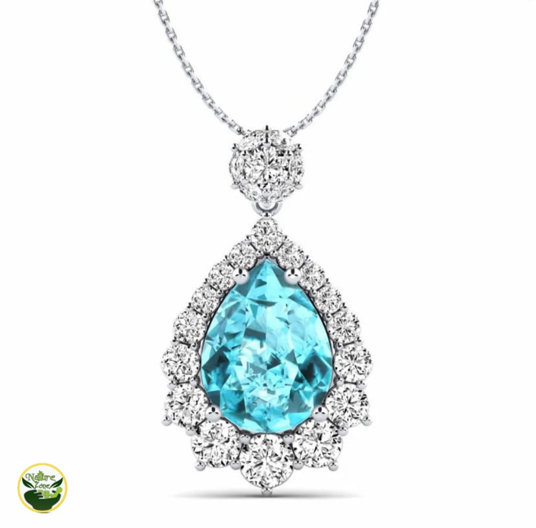 Picsart_24-12-21_02-24-35-956-1.jpg Blue Bloom Silver Necklace Price in Pakistan - Image 1