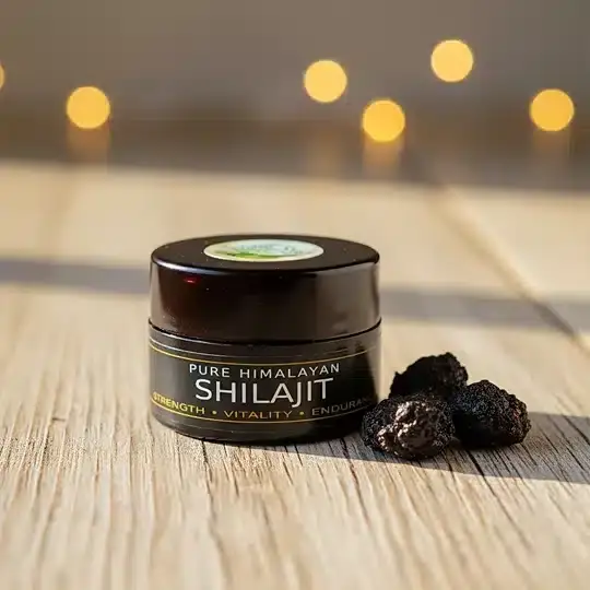 salajeet.webp Shilajit in Pakistan – 100% Pure Natural Salajeet Resin for Energy & Strength - Image 1