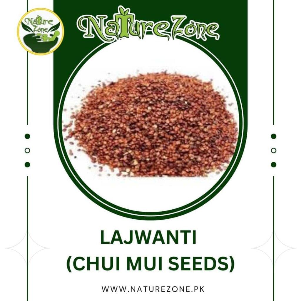 Lajwanti Seeds, Chui Mui Seeds Price in Pakistan،لاجونتی