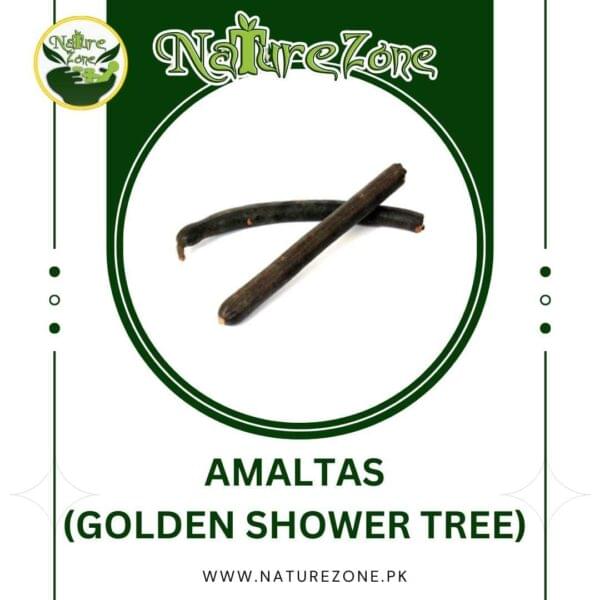 Amaltas ki Phali Benefits and Price in Pakistan