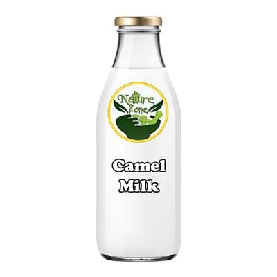 Camel Milk in Pakistan